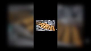 Σκάλα φούρνου Pizza από ανοξείδωτο χάλυβα Chain link Μεταφορικός επίπεδη συρμάτινη ζώνη Flex για σοκολατένια ρόμπα,