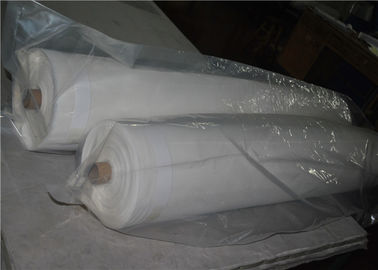 Monofilament σαφούς ύφανσης πλέγμα οθόνης εκτύπωσης πολυεστέρα για την εκτύπωση οθόνης