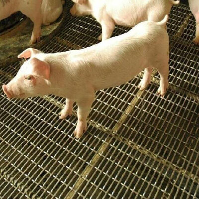 Καλή τιμή. Συρματόπλεγμα με σχισμή Grizzly Τετράγωνη τρύπα Οθόνη κυματοειδές μαύρο σίδηρο φύλλο άνθρακα από ανοξείδωτο υφαντό πλέγμα πτυχωτό συρμάτινο πλέγμα για τοίχο χοίρου σε απευθείας σύνδεση